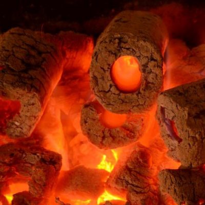 Fındık Kabuğu Kömürü satışı fiyatı satıcıları 0006 hazel nutshell Turkey