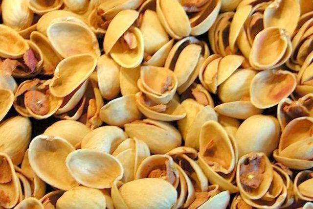 Fıstık kabuğu satışı fiyatı satıcıları 0016 pictachio shell Turkey